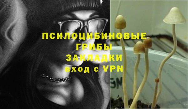 ешки Магас