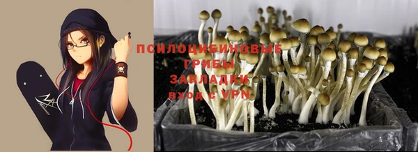 ешки Магас